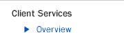 Client Services Overview