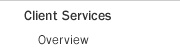 Client Services Overview